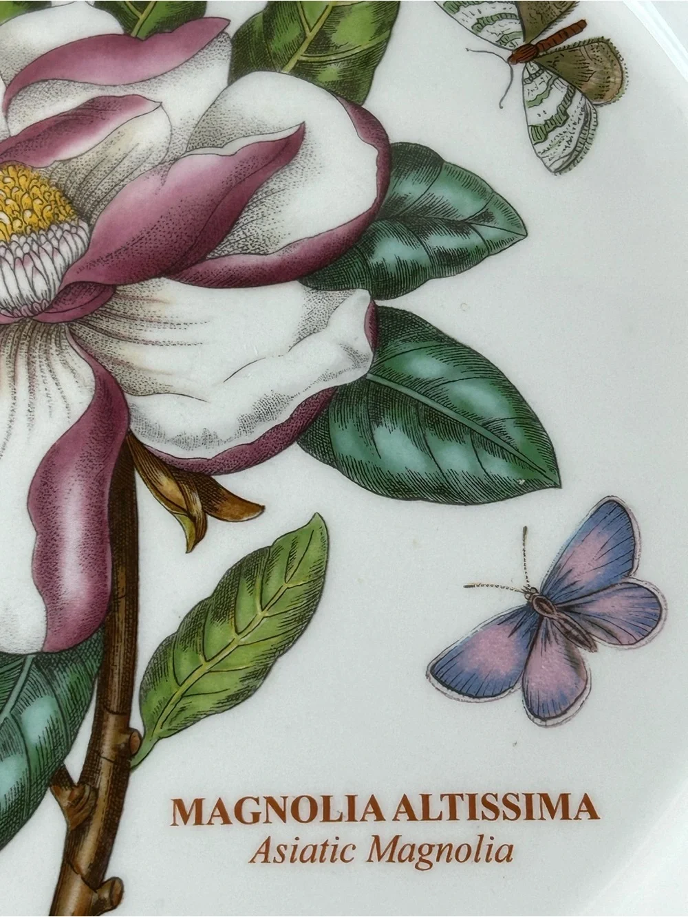 PORTMEIRION BOTANIC GARDEN 10.5